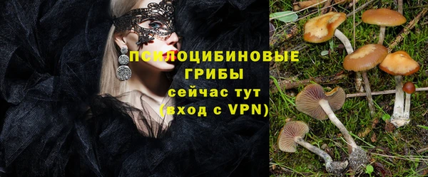 гидра Жердевка