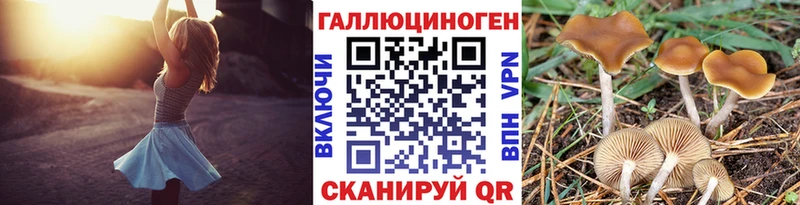 купить закладку Мариинск omg как войти Псилоцибиновые грибы Magic Shrooms